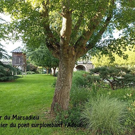 Studio Tarbes Marcadieu Bagian luar foto