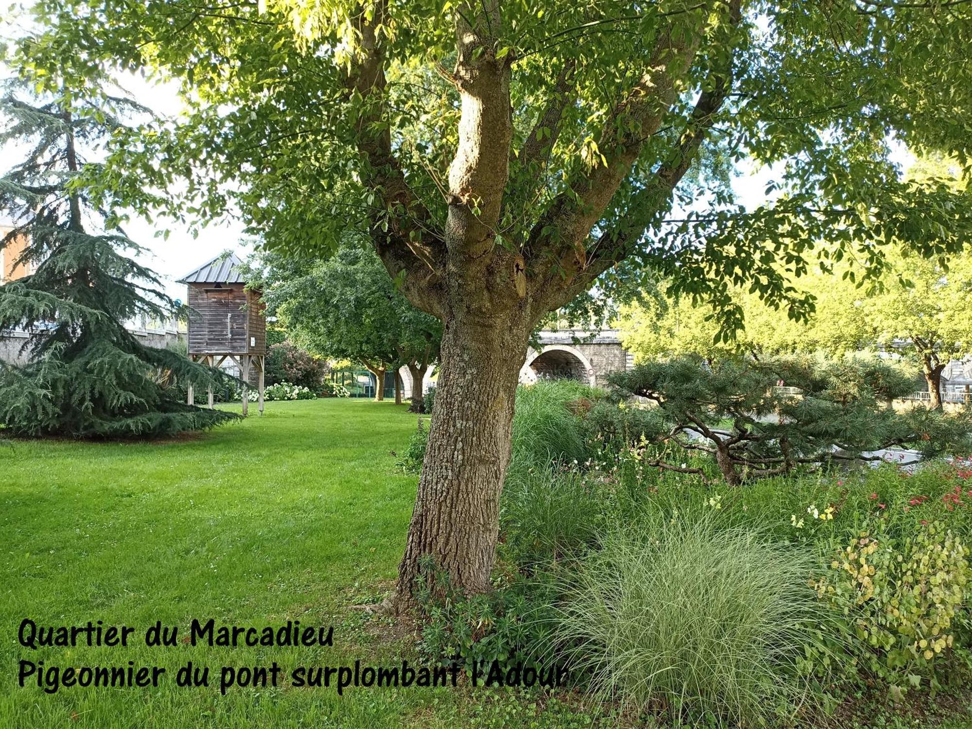 Studio Tarbes Marcadieu Bagian luar foto